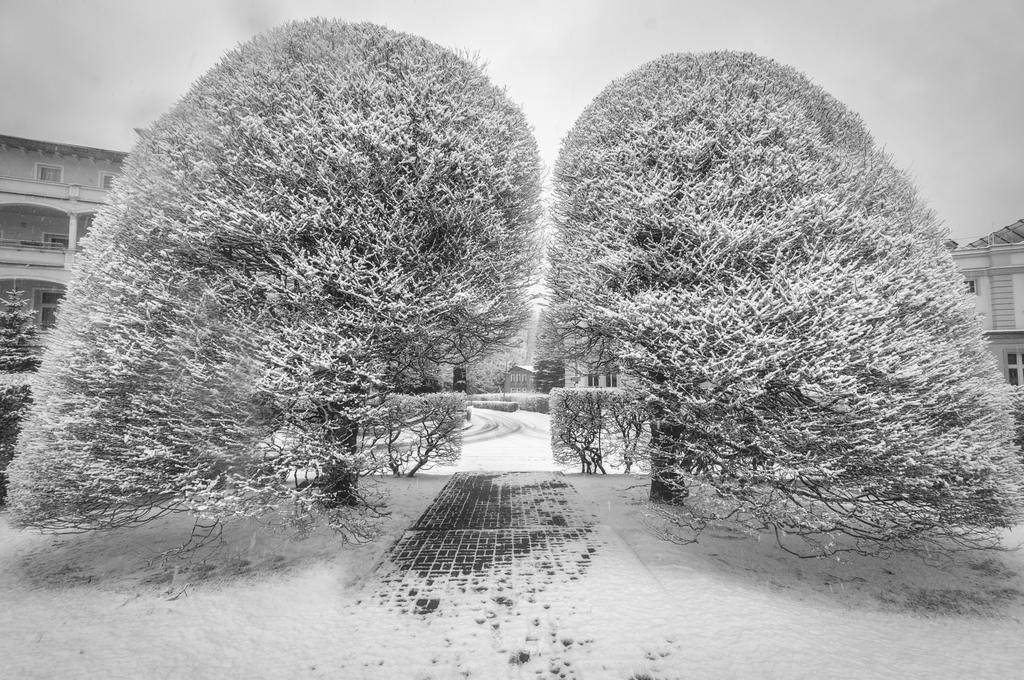 Willa Arabeska Lądek-Zdrój Exteriér fotografie